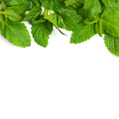 Fresh green leaves of mint, lemon balm, peppermint isolated on white background top view copy space. Mint leaf texture. Ecology natural layout. Mint leaves pattern spearmint herbs nature background © olgaarkhipenko