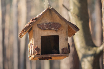 Homemade wooden bird feed in the park