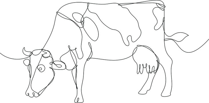 mucca disegnata a singola linea continua