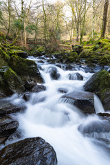 waterfall in the forest