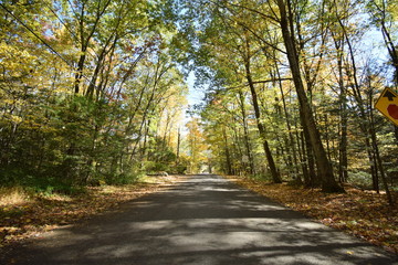 Catskills mountain in Fall