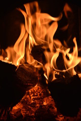 mesmerizing flame, fire in a fireplace