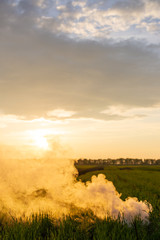 Obraz premium The white smoke in grass against evening sun. Sun near horizon.