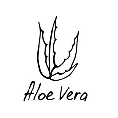 Aloe vera icon isolated on white background. Aloe vera icon for web site,app,banner and logo.