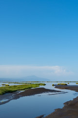 landscape of the river