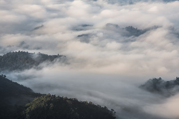 Panorama sea of fog with forests and mountains ridge and grass meadow around trails on the mountain. Beautiful in nature landscape, Doi Thule, Tak province, Thailand