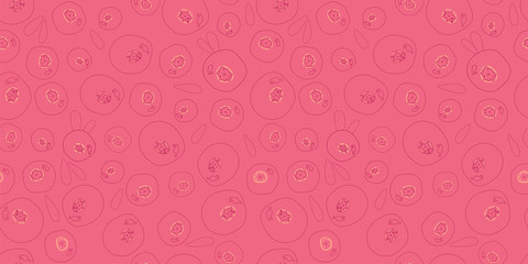 cranberry in linear style