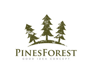 Pine Tree Logo Design Vector