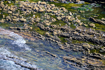 Birds on the rocks in the waves on the ocean shore. Solo Backpacker Trekking on the Rota Vicentina and Fishermen's Trail in Alentejo, Portugal. Walking between cliff, ocean, nature and beach.