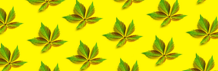 Green leaf trendy pattern on yellow background.