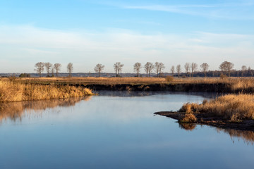 Poranek w Dolinie Narwi. Rzeka Narew. Podlaskie wierzby, Polska