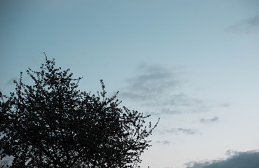 Colorful sky with clouds