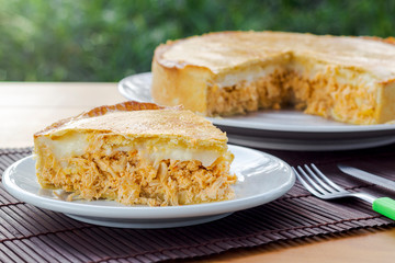 Slice of chicken pie with cheese on natural background.