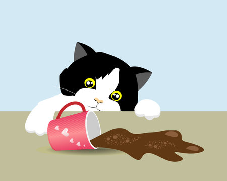 Curious Adorable Tuxedo Cat Spilled Coffee On Table. Isloated On Light Blue Background. Vector Illustration. Idea For Funny Bad Cat Behavior/instinct.