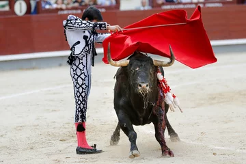 Schilderijen op glas Bullfight in Spain © KABUGUI