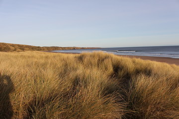 Across the dunes to the sea