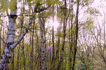 Boggart Hole Clough 5