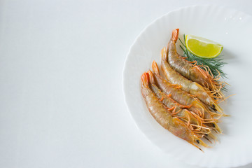Fresh lemon and dill. Fresh prawns on a white plate with.