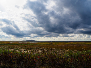 The great marsh in autumn. This is a salt marsh with grassland and a creek that runs through it and its ecosystem supports birds, fish, insects, reptiles, amphibians and mammals.