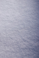Fresh snow, Denver, Colorado, USA