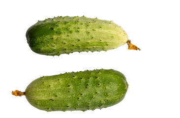 Two fresh organic cucumber isolated on a white background.