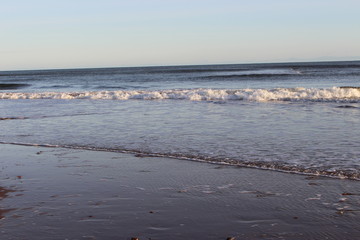 Waves on the sea shore