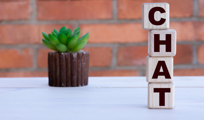 CHAT the word on cubes against the background of a brick wall with a cactus.