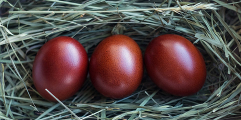 Colored easter eggs lie in a nest on green grass. Chicken eggs in a straw nest. The chicken laid an egg. Natural organic homemade products. Happy easter card with copy space for text. 