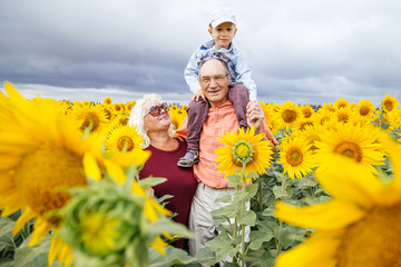 Grandparents spend time with their grandson in a field of sunflowers.