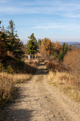 Mountain Jaworzyna Krynicka in Beskid Sądecki