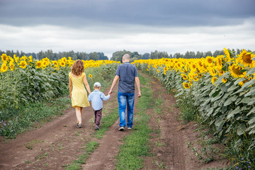 A young family of 3 people walking in a field of sunflowers.