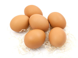 Brown eggs on white background