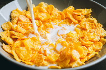 Pouring milk in bowl with corn flakes on the rustic background. Selective focus. Shallow depth of field.