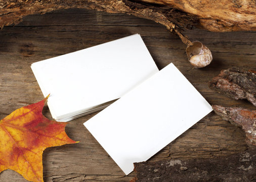 Photo of blank business cards on a autumn background