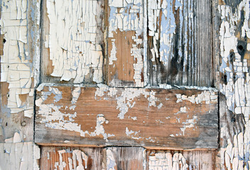 Wooden surface with peeling blue-gray paint. Old wooden doors.