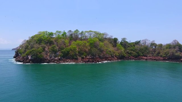 Hovering Aerial View of Bona Island Tip with Frigates and Pelicans Roosting and Flying Over Trees and Rock Cliffs