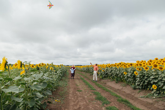 Grandparents fly a kite with their grandson in a field of sunflowers, cloudy day.