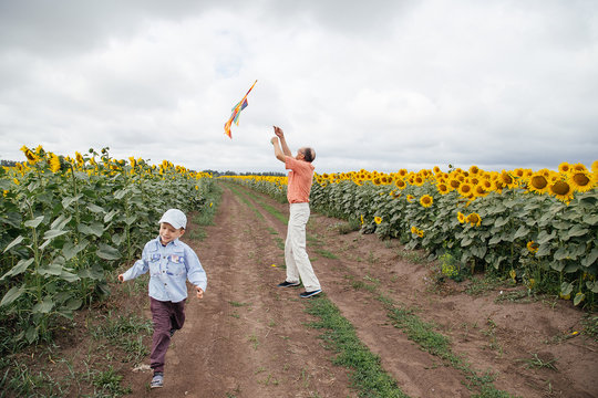 Grandfather flies a kite with his grandson in a field of sunflowers, cloudy day.