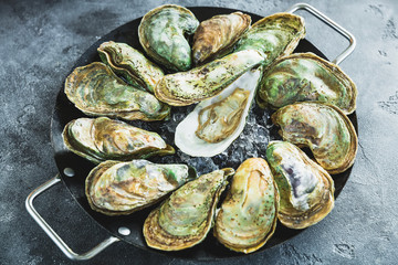 Fresh opened oysters shells platter. Fresh sea food on a plate