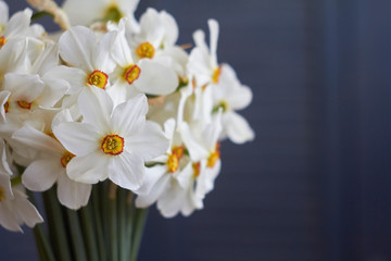 Extreme close-up bouquet of many white daffodils in glass vase on table with beige linen tablecloth, selective focus