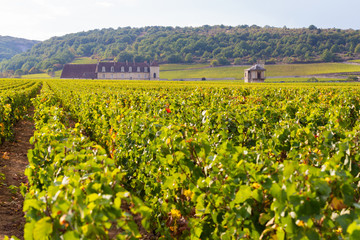 Fototapeta na wymiar 18 September 2019. View of Vougeot Castle in Burgundy, France.