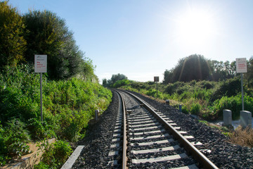 Fototapeta premium binario nella natura