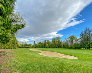 Fototapeta premium Golf course with gorgeous green and fantastic forest view.