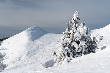 Frosty winter day in the Bieszczady Mountains (Polonina Wetlinska). Bieszczady National Park, Subcarpathian Voivodeship, Poland.