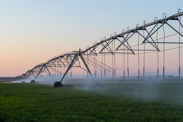 sprinklers watering large crop field in idaho during sunrise or sunset over beautiful green crops