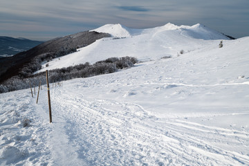 Fototapeta na wymiar Frosty winter day in the Bieszczady Mountains (Polonina Wetlinska). Bieszczady National Park, Subcarpathian Voivodeship, Poland.