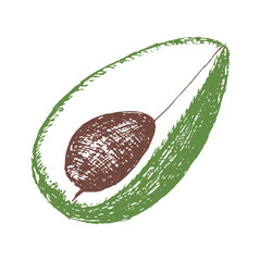 Single element, avocado, hand-draw doodle illustration in vector. Food hand drawn illustration.Design for packaging, weddings, fabrics, textiles, wallpaper, website, postcards.