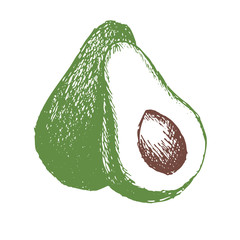 Single element, avocado, hand-draw doodle illustration in vector. Food hand drawn illustration.Design for packaging, weddings, fabrics, textiles, wallpaper, website, postcards.