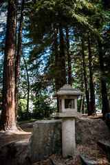 Fototapeta premium Nantes jardin japonais