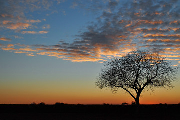 Sonnenuntergang Abendstimmung